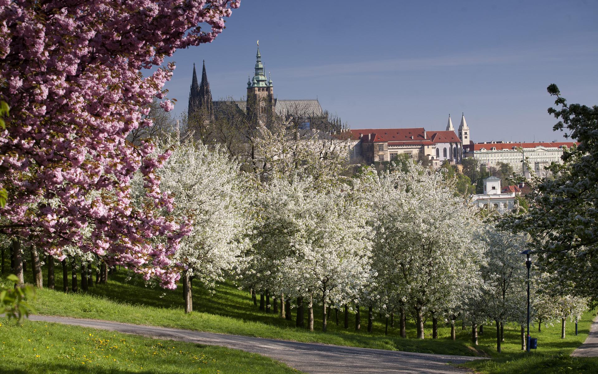 Reis!-tip: Praagse lente in de urban orchard - Dagblad van het Noorden